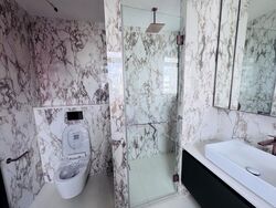 Irwell Hill Residences (D9), Apartment #498417751